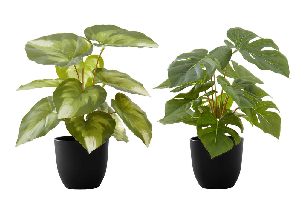 Artificial Plant Set of 2 - 13" Tall Monstera Calathea