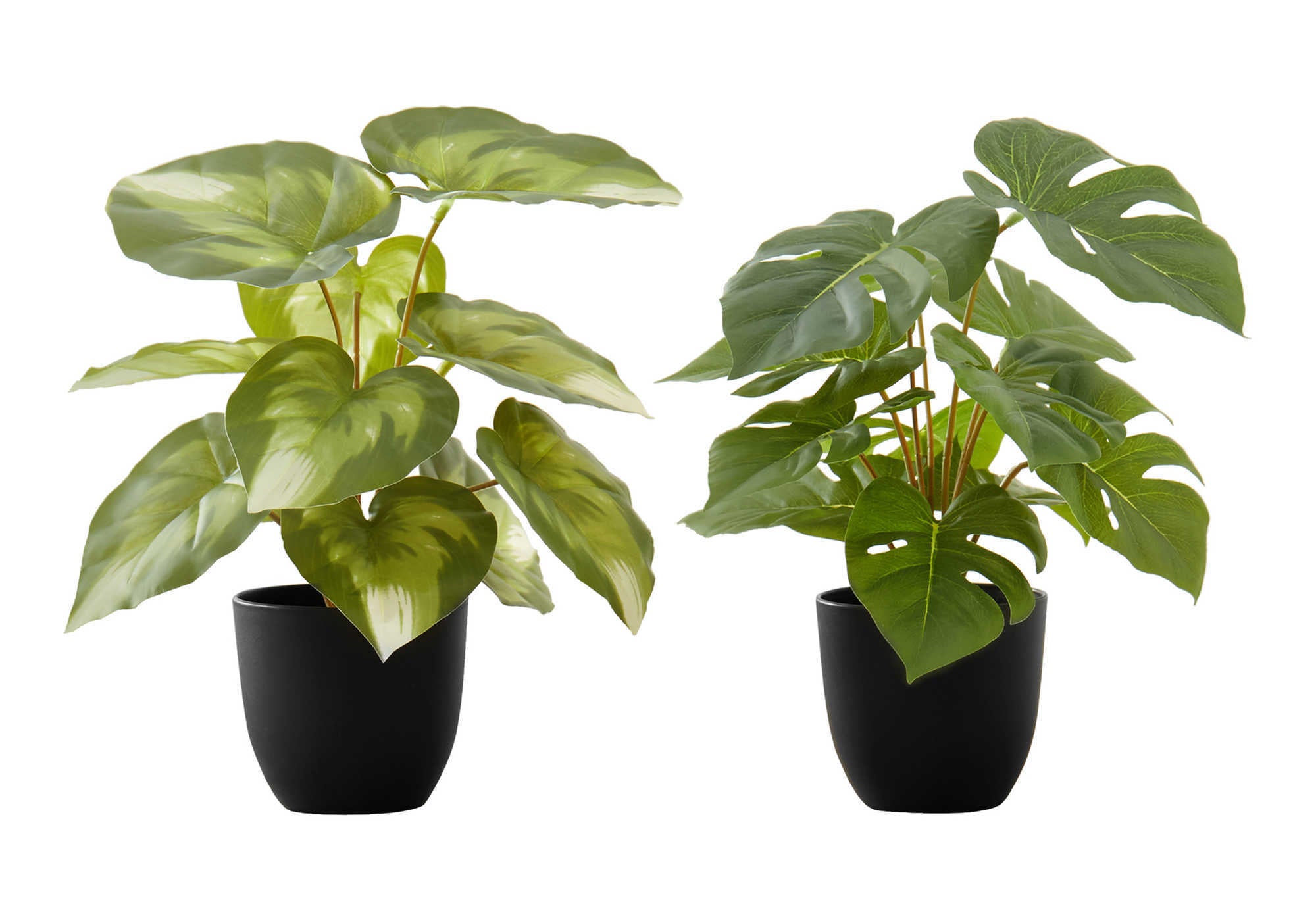 Artificial Plant Set of 2 - 13" Tall Monstera Calathea
