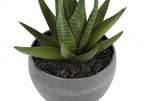 Artificial Succulent Plant Set of 3