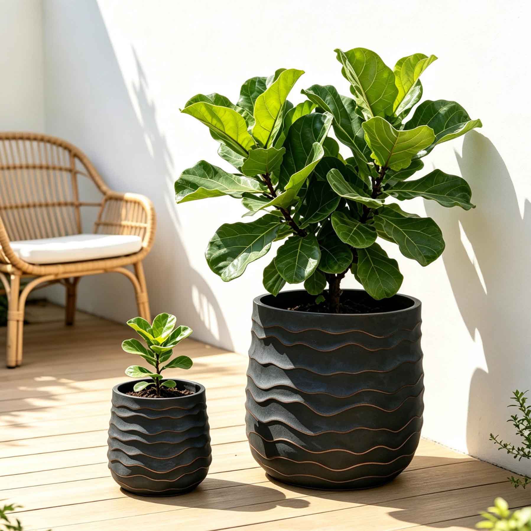 Large Round Planters Set of 2