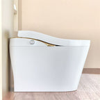 Modern Smart Toilet With Bidet and Auto Features