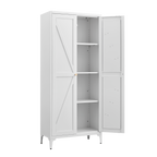 Metal Adjustable 2 Doors Storage Cabinet