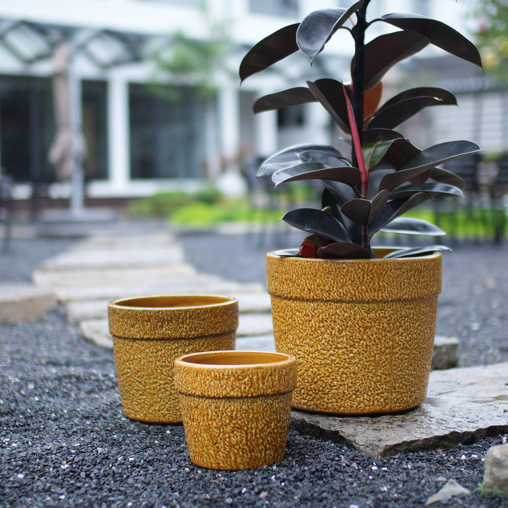 Handmade Ceramic Planter Set of 3