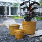 Handmade Ceramic Planter Set of 3