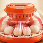 12 Egg Incubator with Automatic Egg Turner