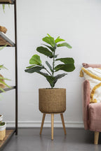 20" x 16" x 35" Artificial Fiddle-Leaf Fig Potted Plant
