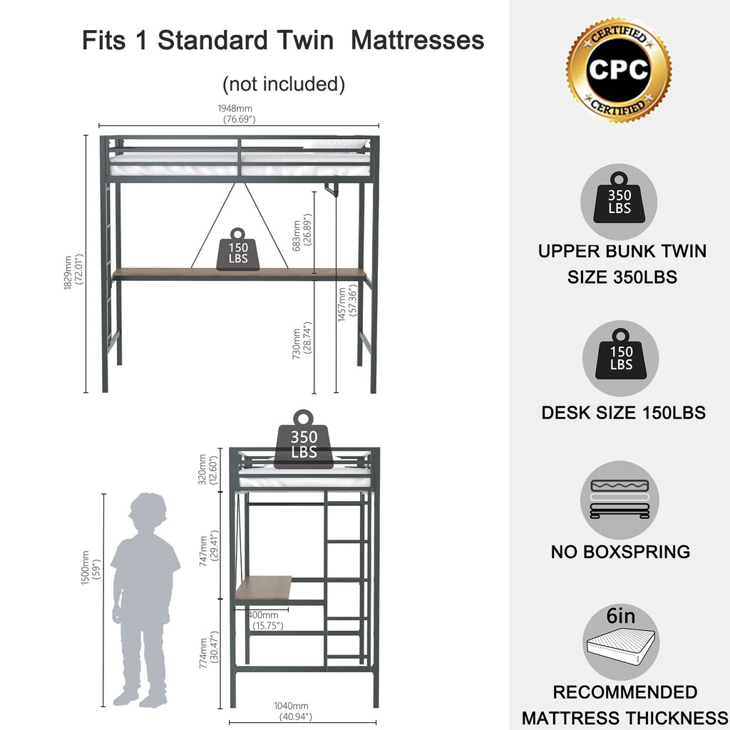 Adam Sturdy Twin Loft Bed