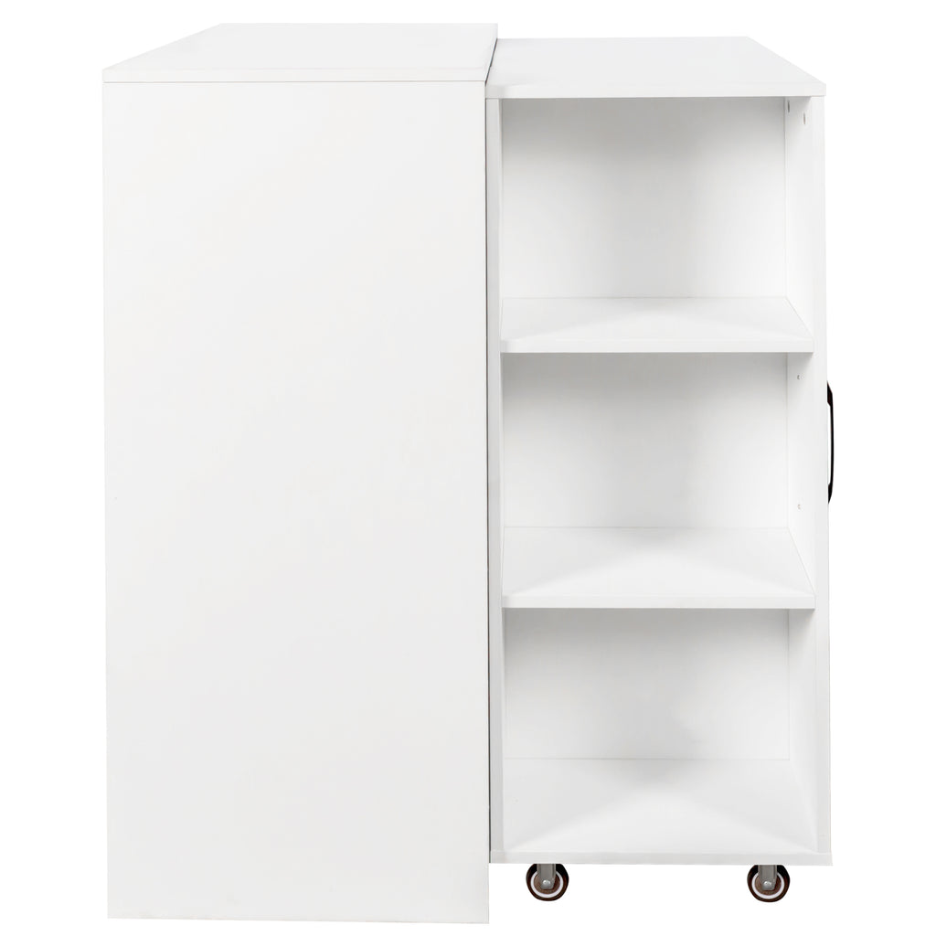 Bookcase with Three Pulled Out Doors