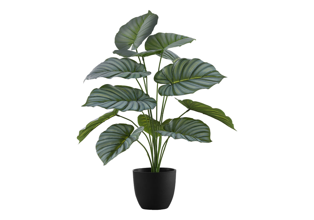 Artificial 24" Tall Calathea Plant