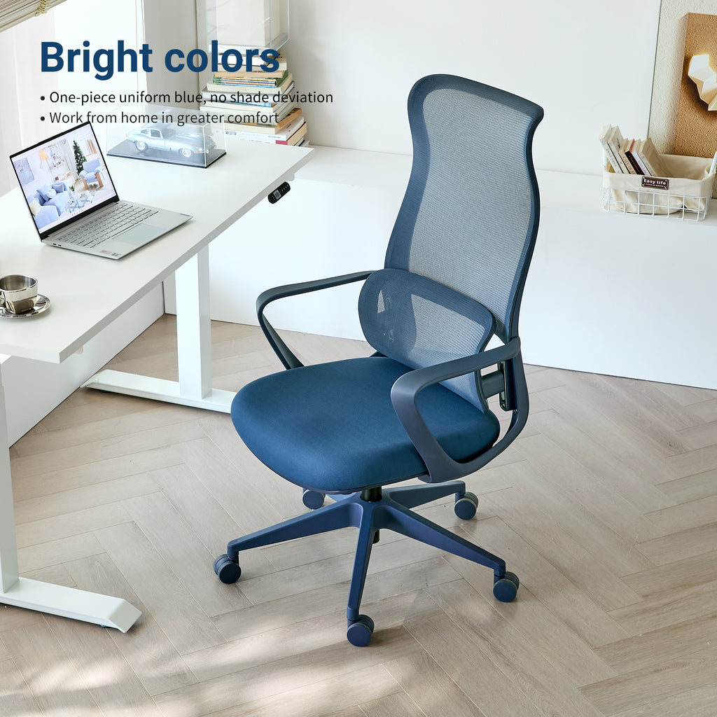 Ergonomic Colorful Office Chair
