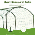Heavy Duty 20mm Large Diameter Metal Cucumber & Loofah Trellis