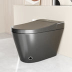 Unique Smart Toile with Integrated Bidet