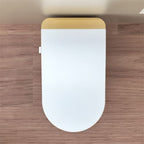 Modern Smart Toilet With Bidet and Auto Features