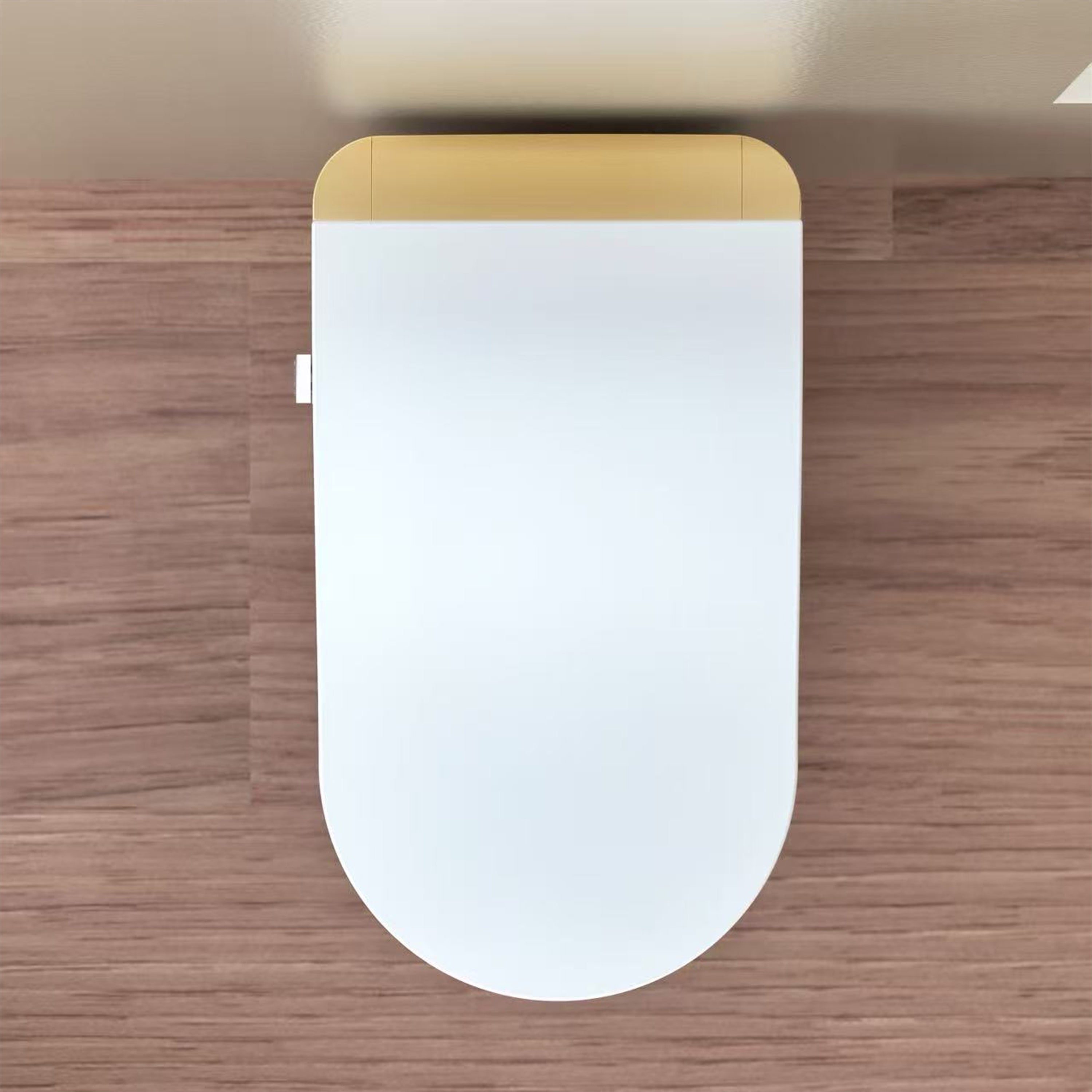 Modern Smart Toilet With Bidet and Auto Features