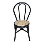 Set of 2 Decorative Accent Chairs