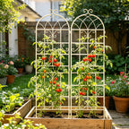 2 Pack Metal Garden Trellis 71" x 19.7"