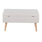 Storage Contemporary Bench