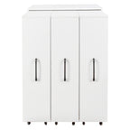 Bookcase with Three Pulled Out Doors
