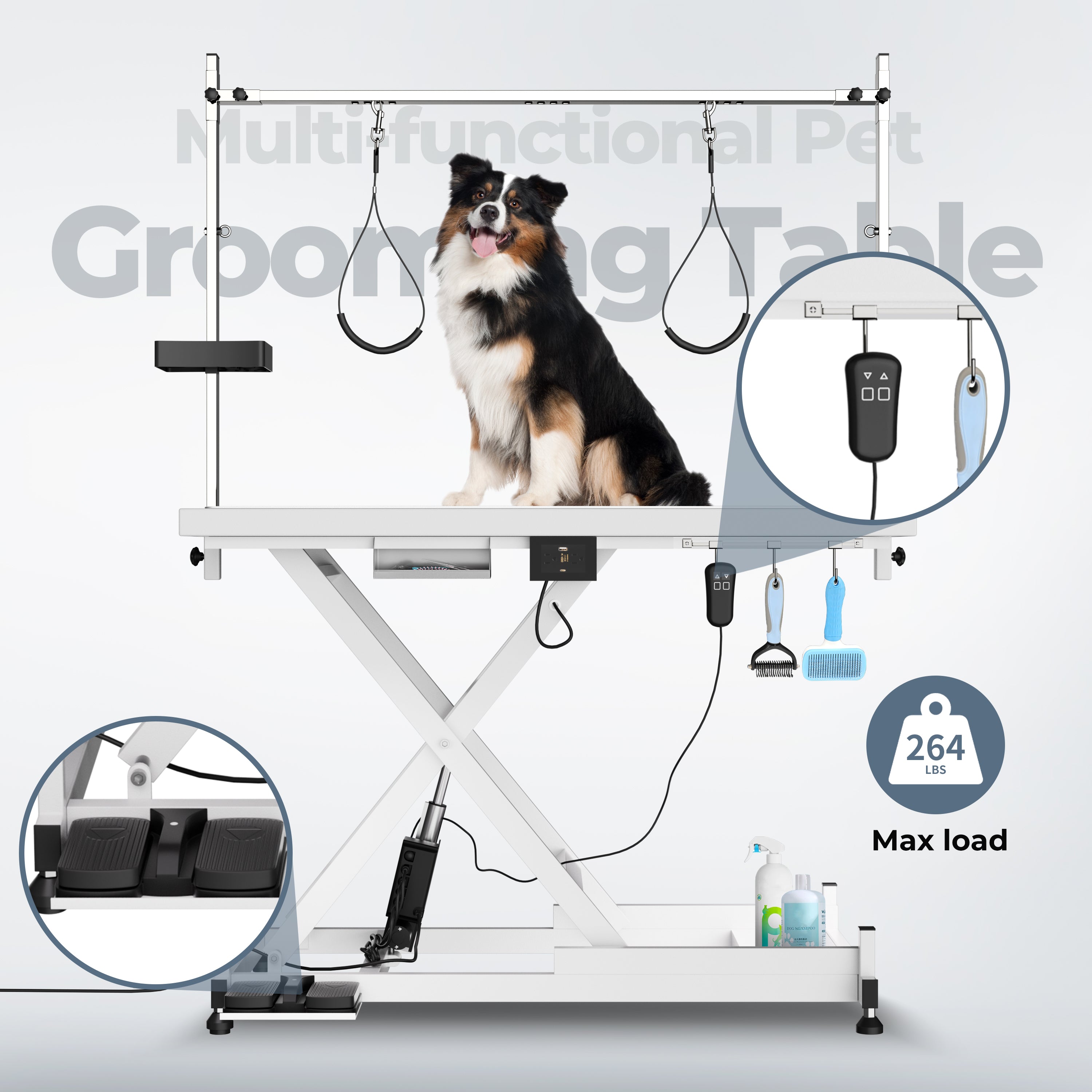 Professional Electric Pet Grooming Table