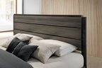 Ioana Contemporary Wood Panel Bed