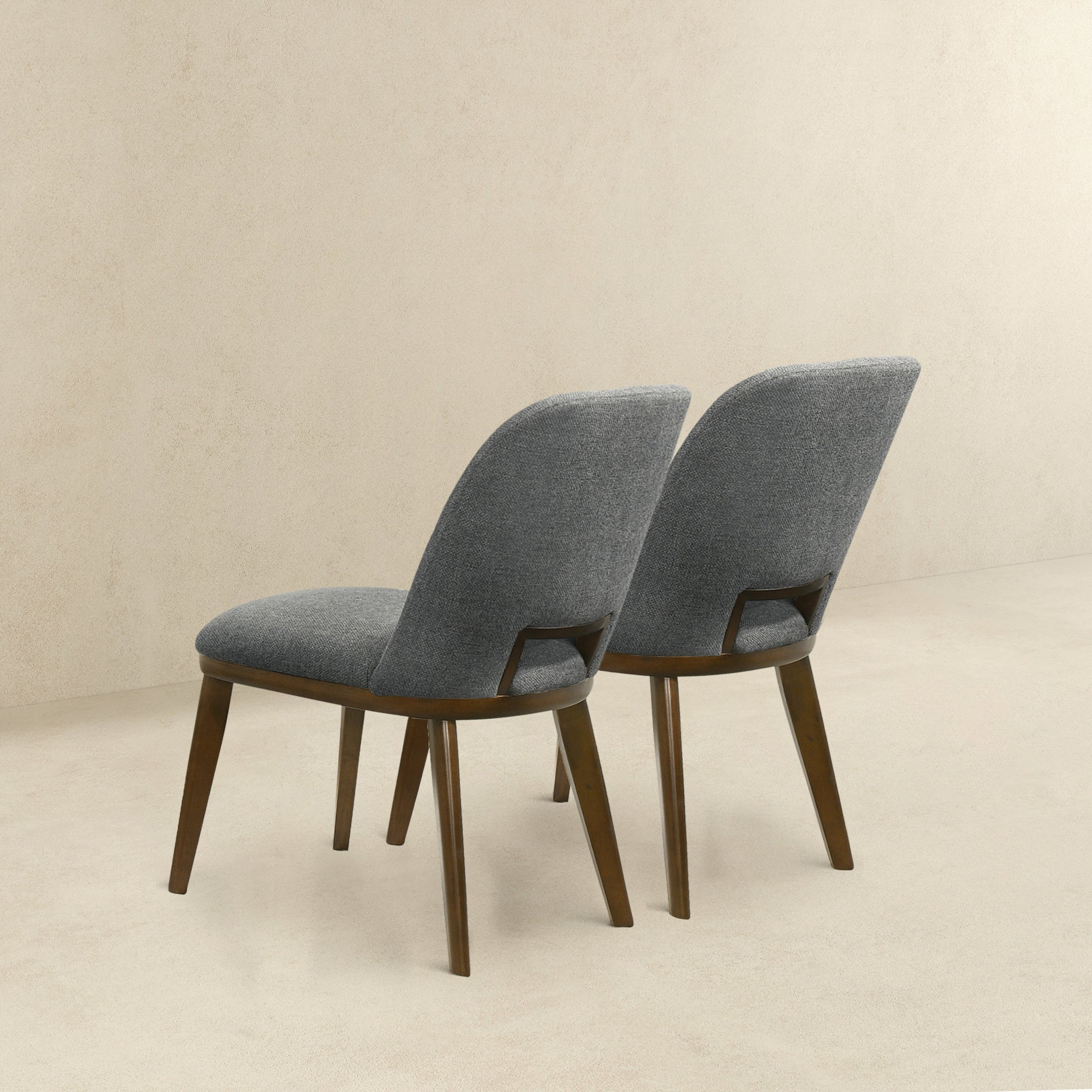 Modern Blake Dark Dining Chairs - Set of 2