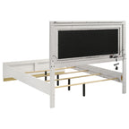 Sophia Queen Bed