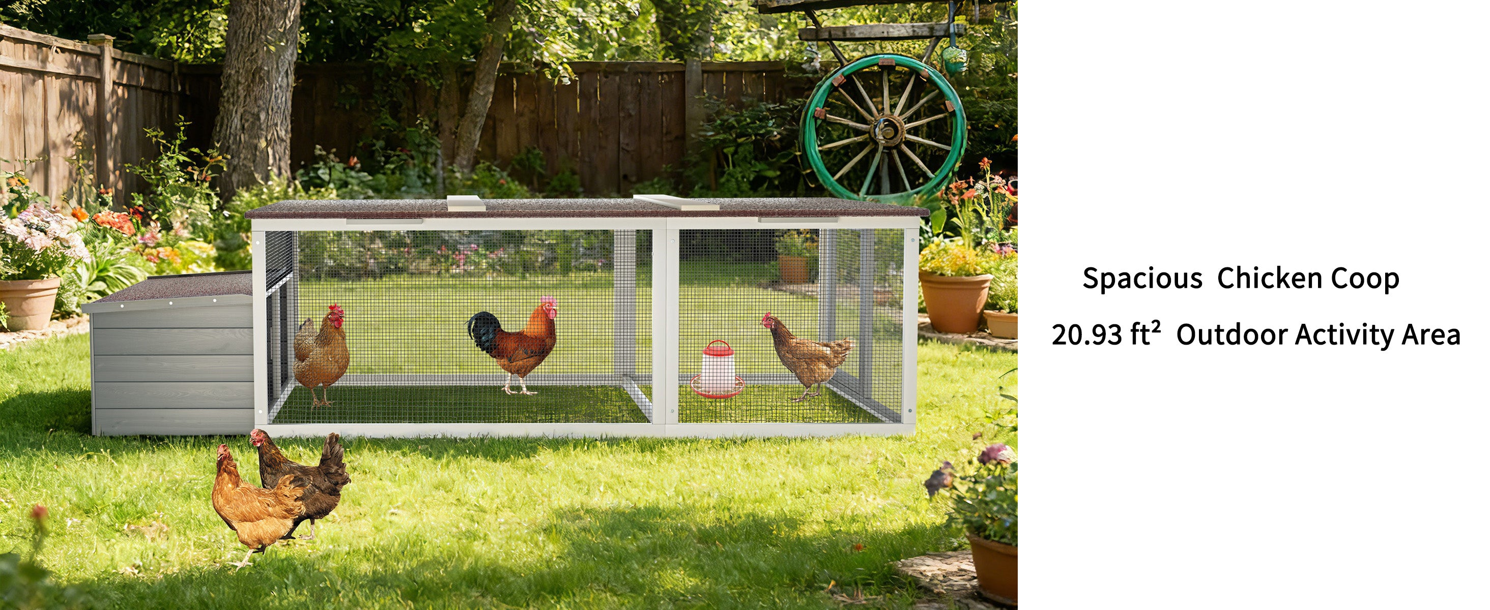 Large Chicken Coop with Run