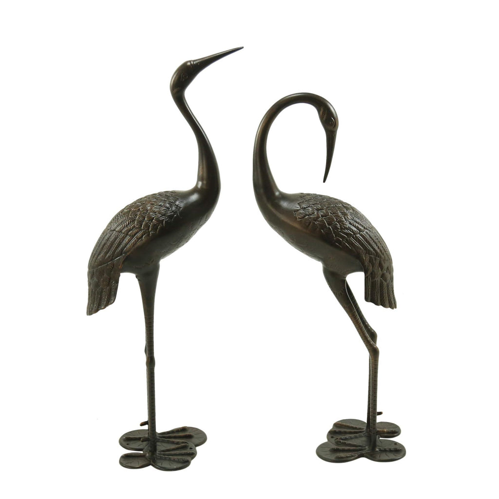 Bird Animals
