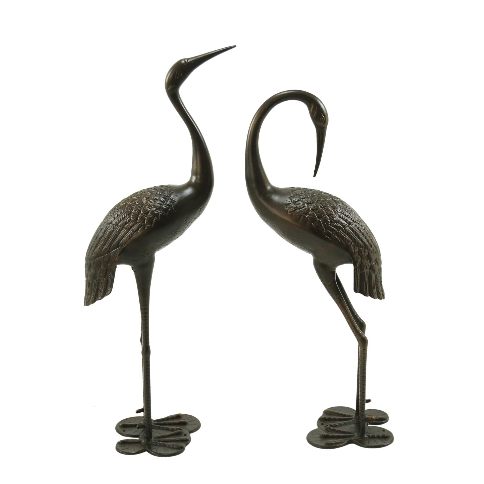 Bird Animals