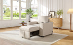 Modern Pull-Out Sofa Bed