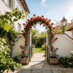 Metal Garden Arch with Gate