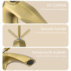 Brushed Bathroom Sink Faucet