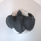 Demon Skull Gas Log for Ventless Fireplaces