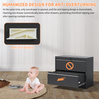 2 Drawer Lateral File Cabinet with Lock