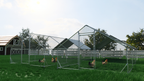 Large Metal Chicken Coop Walk-In Poultry Cage