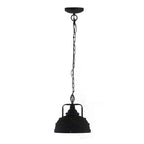 D10.4x11.4" Metal Hanging Lamp