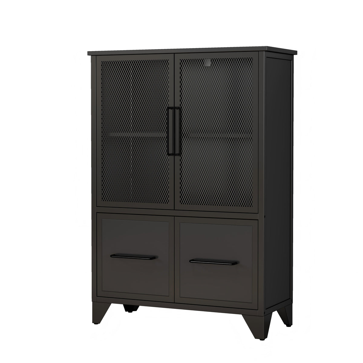 Storage Cabinet With 4 Iron Doors