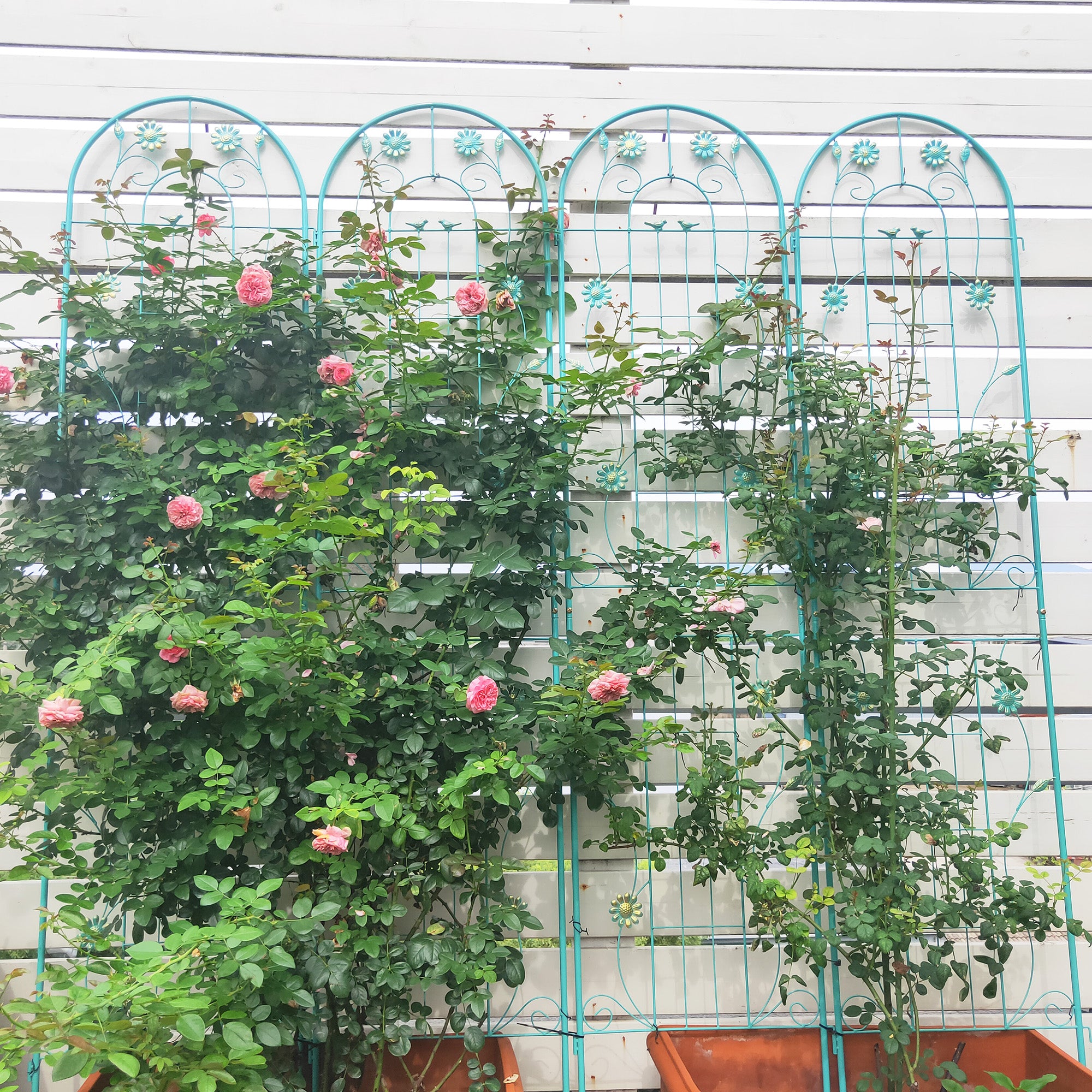 2 Pack Metal Garden Trellis 86.7" x 19.7"