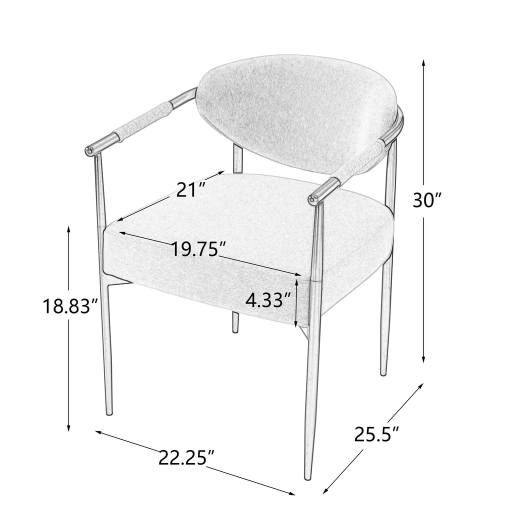 Modern Dining Chairs Set of 2