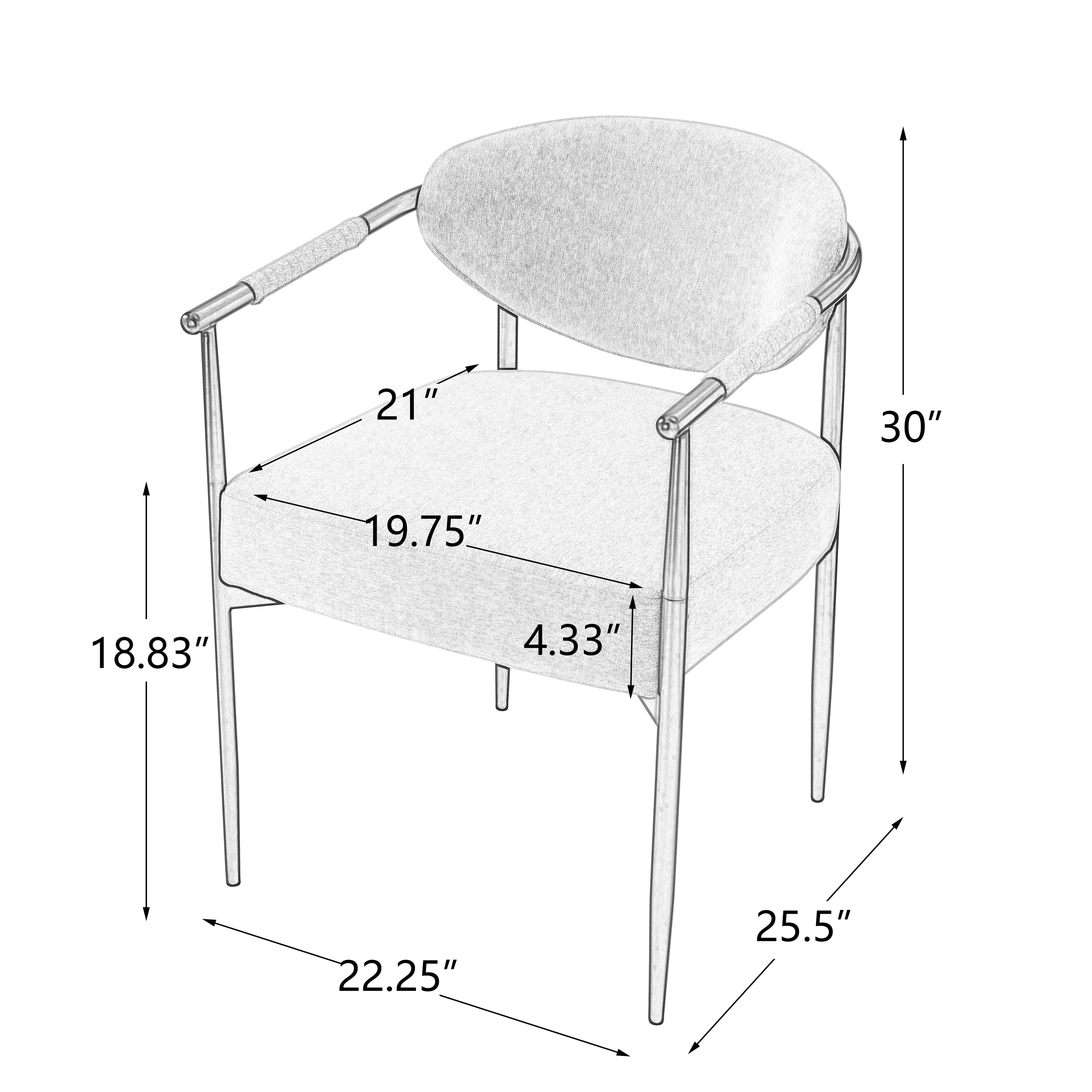 Modern Dining Chairs Set of 2