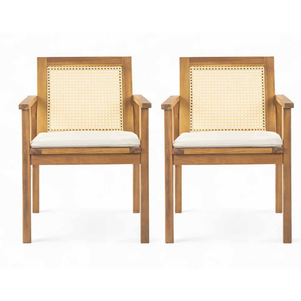 Preston Outdoor Dining Chair with Cushion (Set of 2)