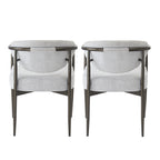 Modern Dining Chairs Set of 2