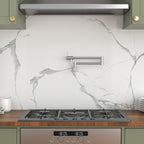 Brushed Nickel Pot Filler Faucet