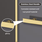 Dual Sliding Frameless Shower Door