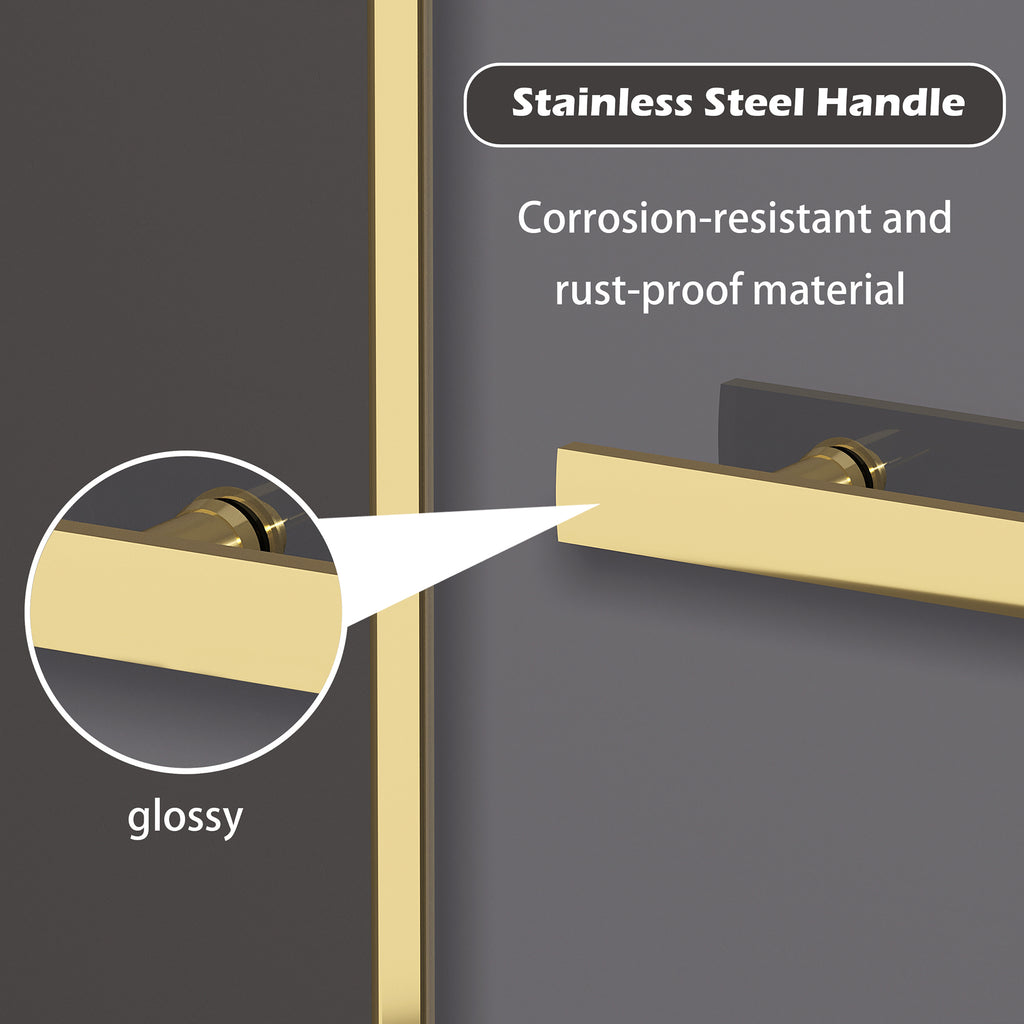 Frameless Dual Sliding Shower Door