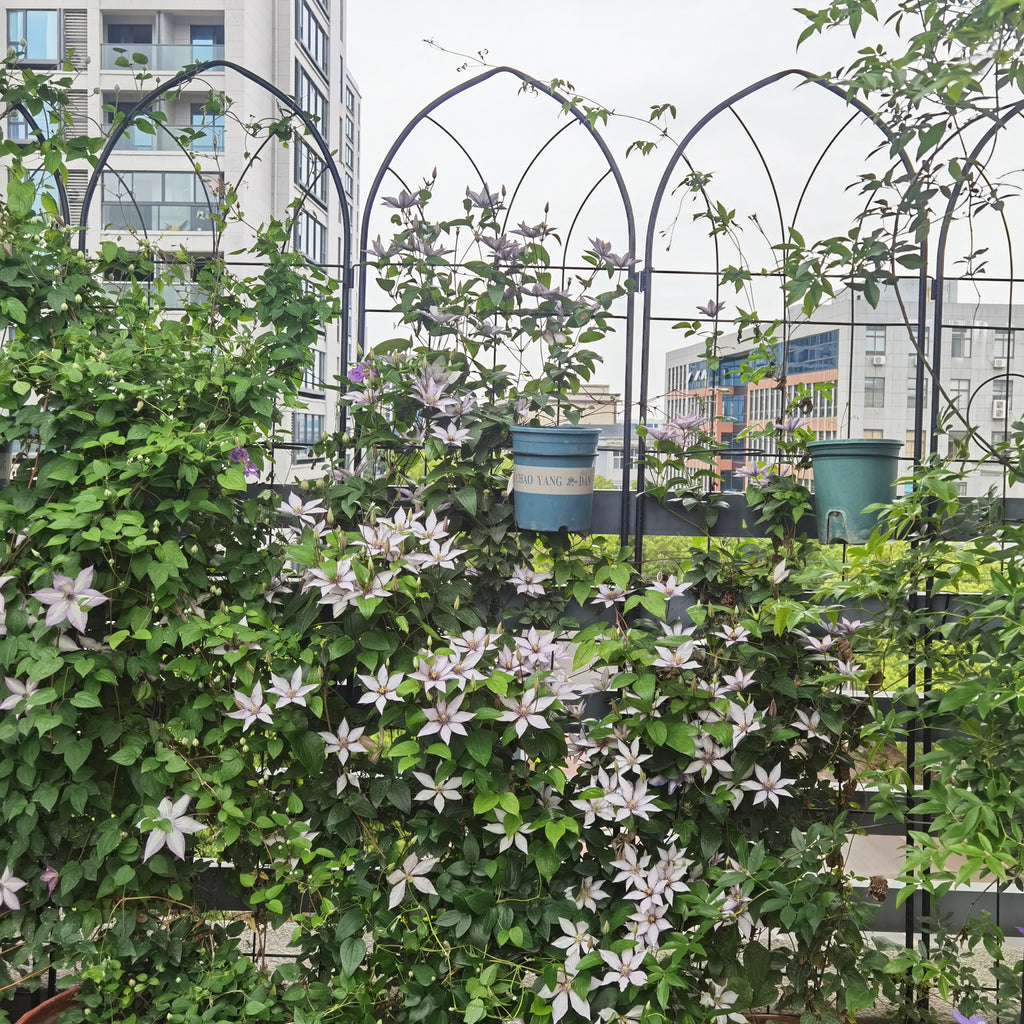 4 Pack Metal Garden Trellis - 78.7" x 19.7"