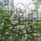 2 Pack Metal Garden Trellis