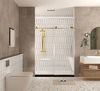 Frameless Shower Door 44-48"W x 76"H