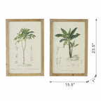 Set of 2 Tree Framed Prints