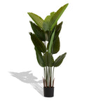 Artificial Bird of Paradise Plant - 5.2ft Tall Faux Tropical Palm Tree